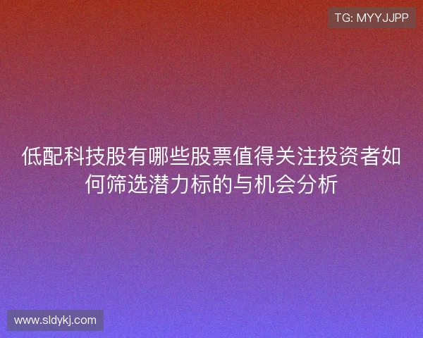 低配科技股有哪些股票值得关注投资者如何筛选潜力标的与机会分析 低配科技股有哪些股票值得关注投资者如何筛选潜力标的与机会分析